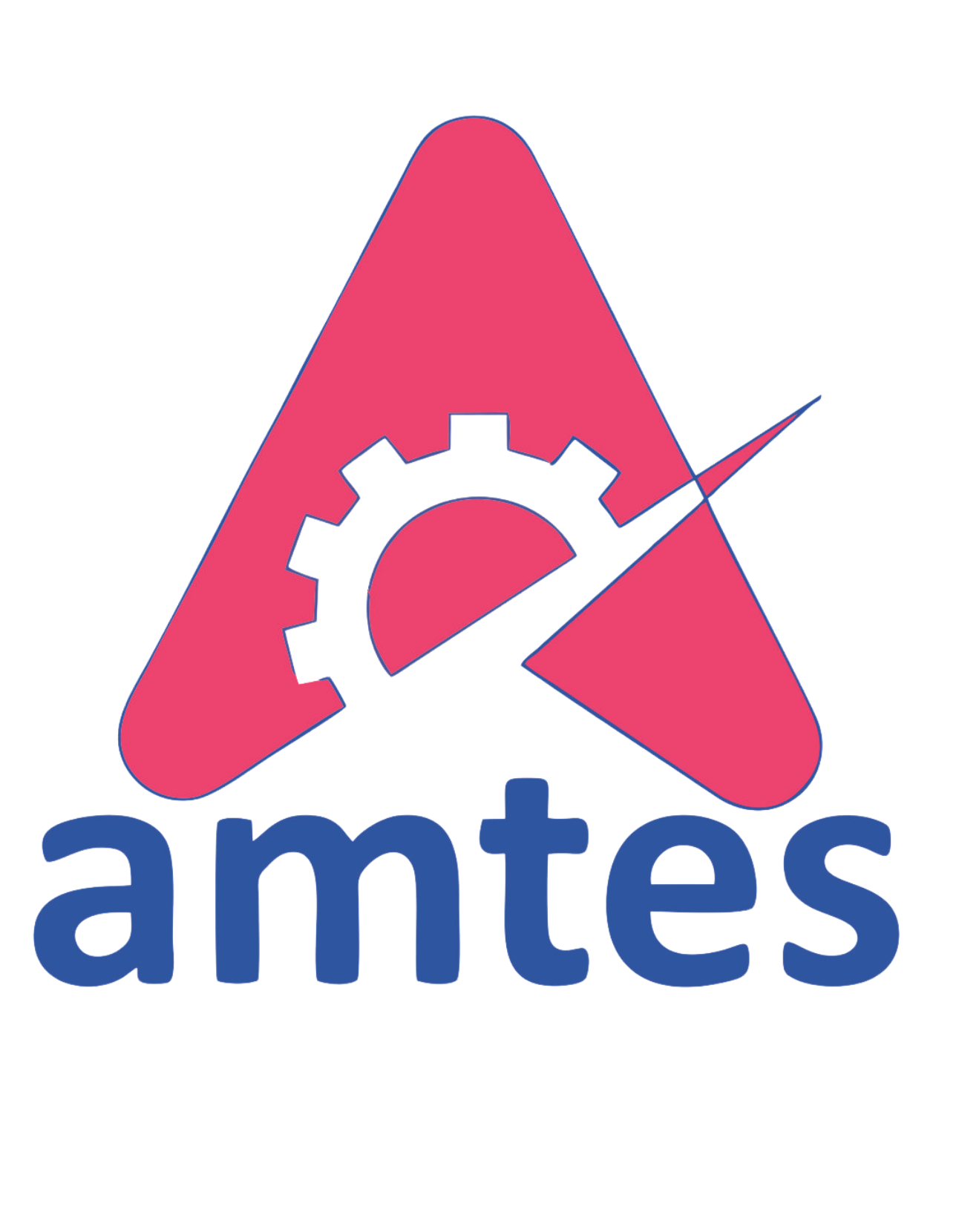 amtesllc.com